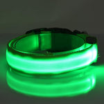 Charger l'image dans la galerie, Lumilon - Collier Lumineux pour Chien et Chat