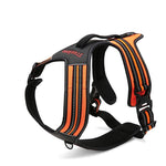 Charger l'image dans la galerie, Harnais pour Chien Truelove
