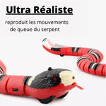 Charger l'image dans la galerie, Kittyspets - Jouet Serpent Intelligent