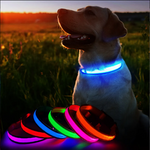 Charger l'image dans la galerie, Lumilon - Collier Lumineux pour Chien et Chat