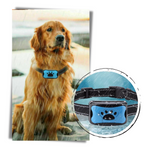 Charger l'image dans la galerie, Collier Anti-aboiement pour chien
