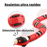 Charger l'image dans la galerie, Kittyspets - Jouet Serpent Intelligent

