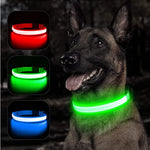 Charger l'image dans la galerie, Lumilon - Collier Lumineux pour Chien et Chat
