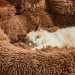 Charger l'image dans la galerie, Kittyspets - Coussin Patte d'Ours pour Chien et Chat
