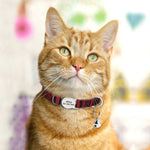 Charger l'image dans la galerie, Collier Personnalisable pour Chat
