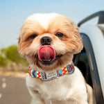 Charger l'image dans la galerie, Collier Personnalisable pour Chien
