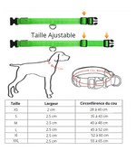 Charger l'image dans la galerie, Lumilon - Collier Lumineux pour Chien et Chat
