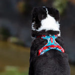 Charger l'image dans la galerie, Truelove - Harnais pour Chien
