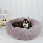 Charger l'image dans la galerie, DODI - Le Lit Apaisant pour Chien et Chat
